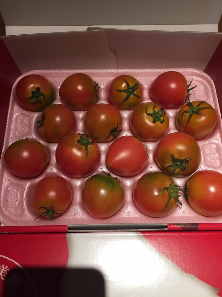 オホーツク産塩トマト